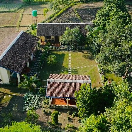 Bardia Eco Friendly Homestay Bardiya Exterior foto